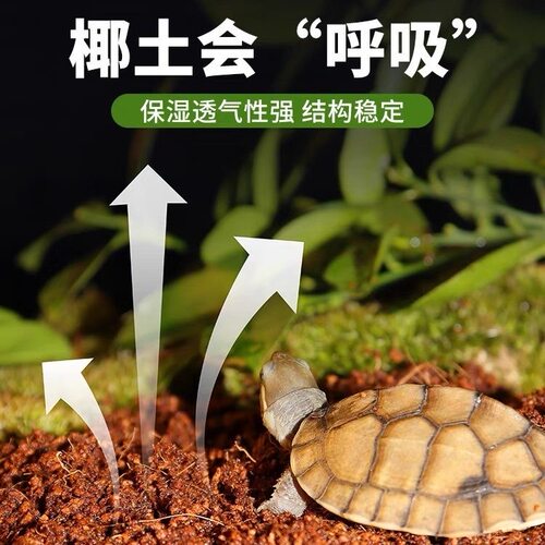 爬宠椰土苔藓乌龟冬眠巴西龟草龟角蛙蟹过冬沙窝垫材饲养沙椰砖 - 图1