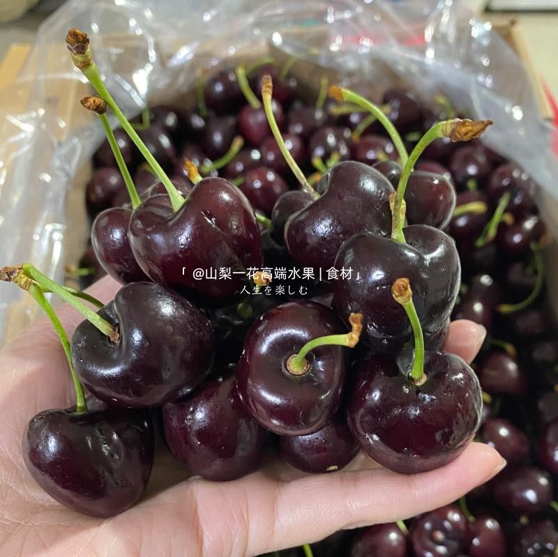 空运智利车厘子3JJJ进口新鲜水果4J大樱桃30mm+现货5斤当季礼盒,淘宝优惠券,粉丝福利购,淘宝优惠卷