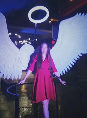 发光羽毛天使翅膀商业街造景