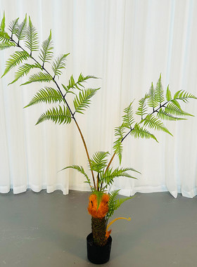 仿真绿植金色猴头蕨中式禅意落地造景室内假植物盆栽客厅装饰摆件