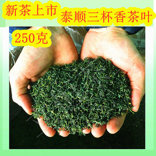 2026年新茶温州泰顺三杯香茶叶明前早茶香茶日照高山云雾茶绿茶 - 图0