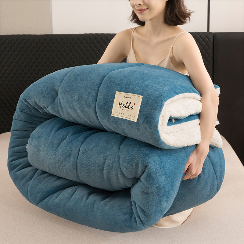 羊羔绒被子冬被加绒加厚秋冬被芯10斤保暖冬季单人被学生宿舍被褥,淘宝优惠券,粉丝福利购,淘宝优惠卷