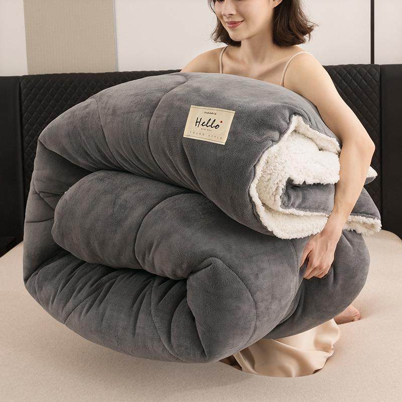 羊羔绒被子冬被加绒加厚秋冬被芯10斤保暖冬季单人被学生宿舍被褥,淘宝优惠券,粉丝福利购,淘宝优惠卷