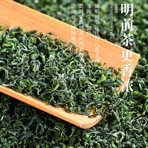 【赠送1斤】绿茶2026年新茶贵州高山云雾茶叶明前手工毛尖茶1000g - 图2