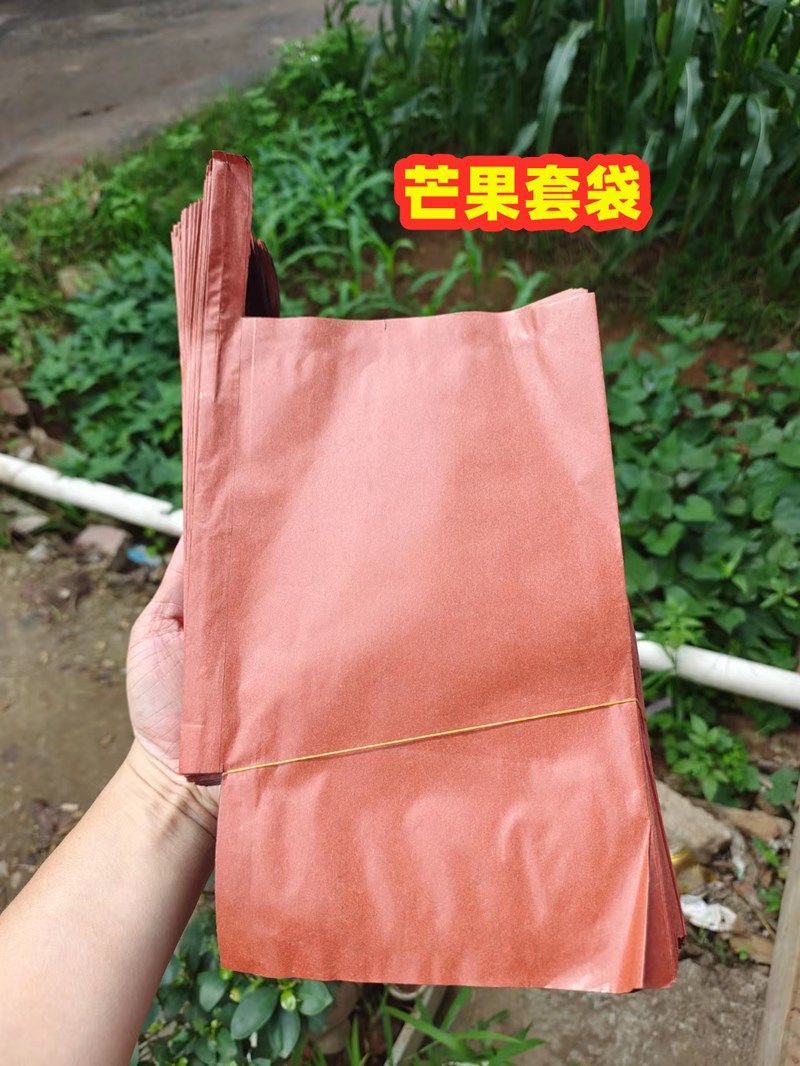 包芒果专用套袋金煌鹰嘴凯特台芒防虫鸟水果双层贵妃玉文芒台芽芒,淘宝优惠券,粉丝福利购,淘宝优惠卷