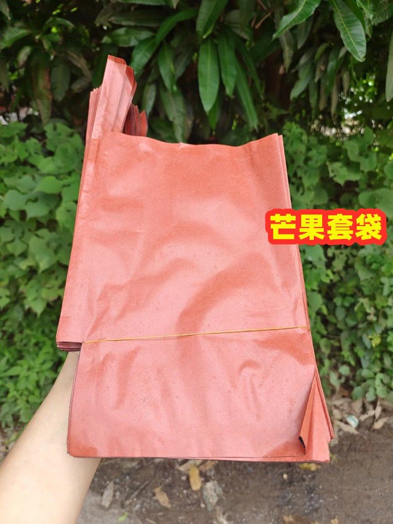 包芒果专用套袋金煌鹰嘴凯特台芒防虫鸟水果双层贵妃玉文芒台芽芒,淘宝优惠券,粉丝福利购,淘宝优惠卷