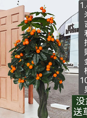 植物绿植假树盆栽假水果树