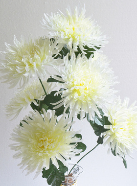 清明节扫墓用绢花墓地祭祀菊花