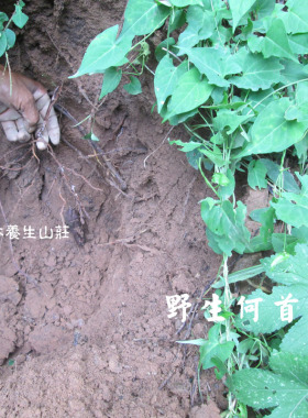 纯植物无添加滋润柔顺洗发皂
