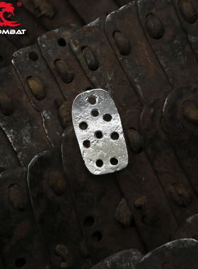 浪潮君物格萨尔王扎甲大明