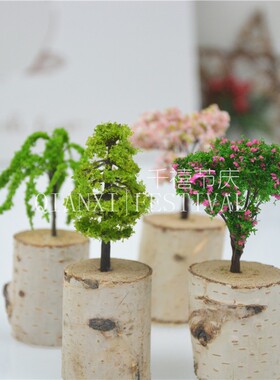 diy田园风苔藓微景观家居装饰