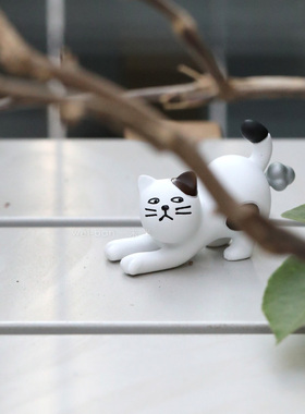 未半定制猫咪放屁文化可做冰箱贴