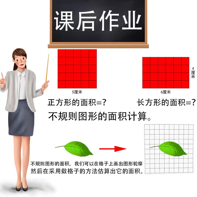 面积测量器边长1cm透明小方格纸塑料正方形小学数学学具教学仪器