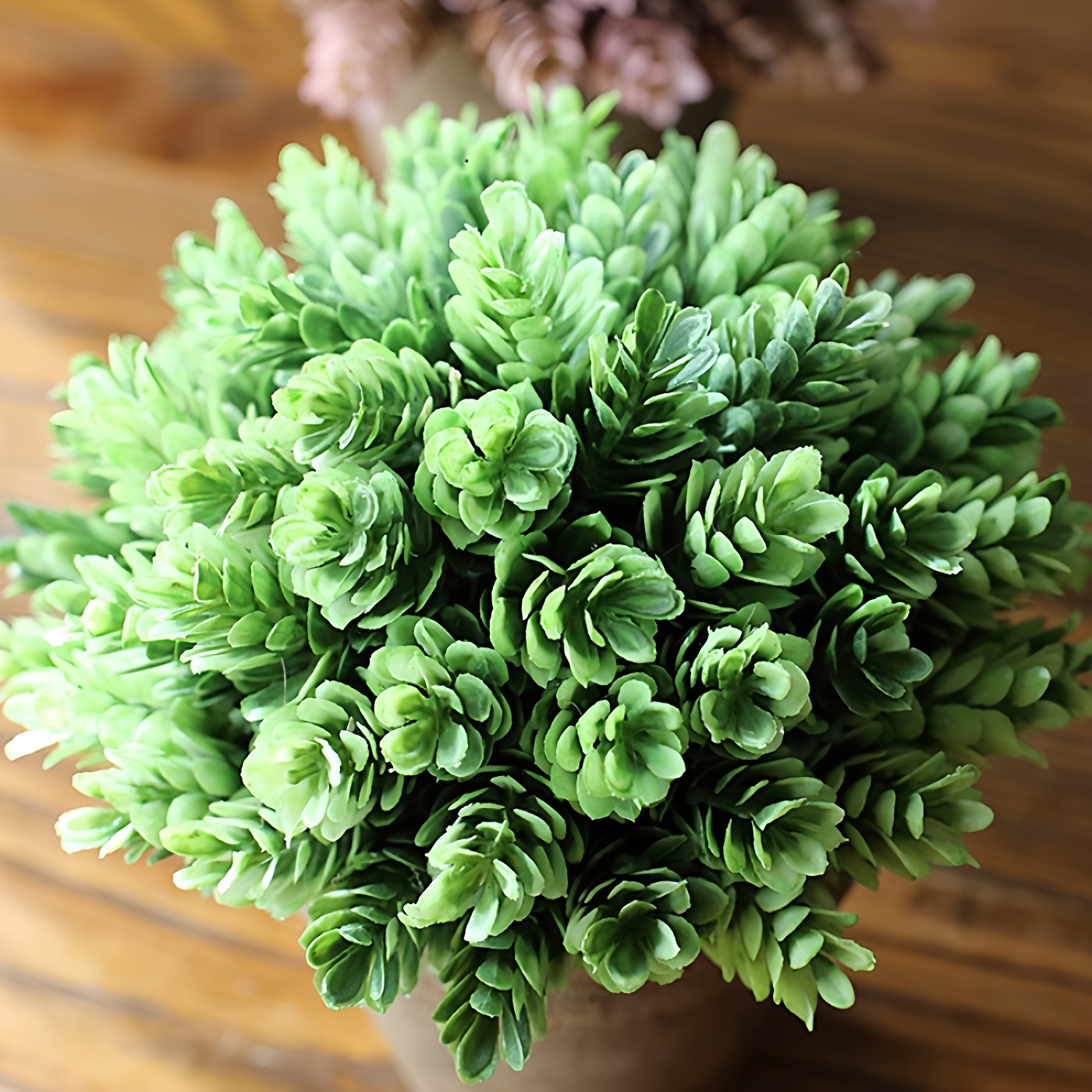 掬涵仿真植物盆景绿植盆栽花球草球办公桌面餐桌卧室装饰艺术摆件,淘宝优惠券,粉丝福利购,淘宝优惠卷