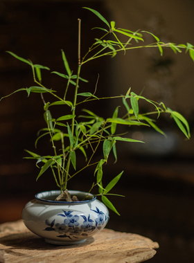 掬涵青花瓷陶瓷花盆室内桌面摆件绿植盆栽专用花盆