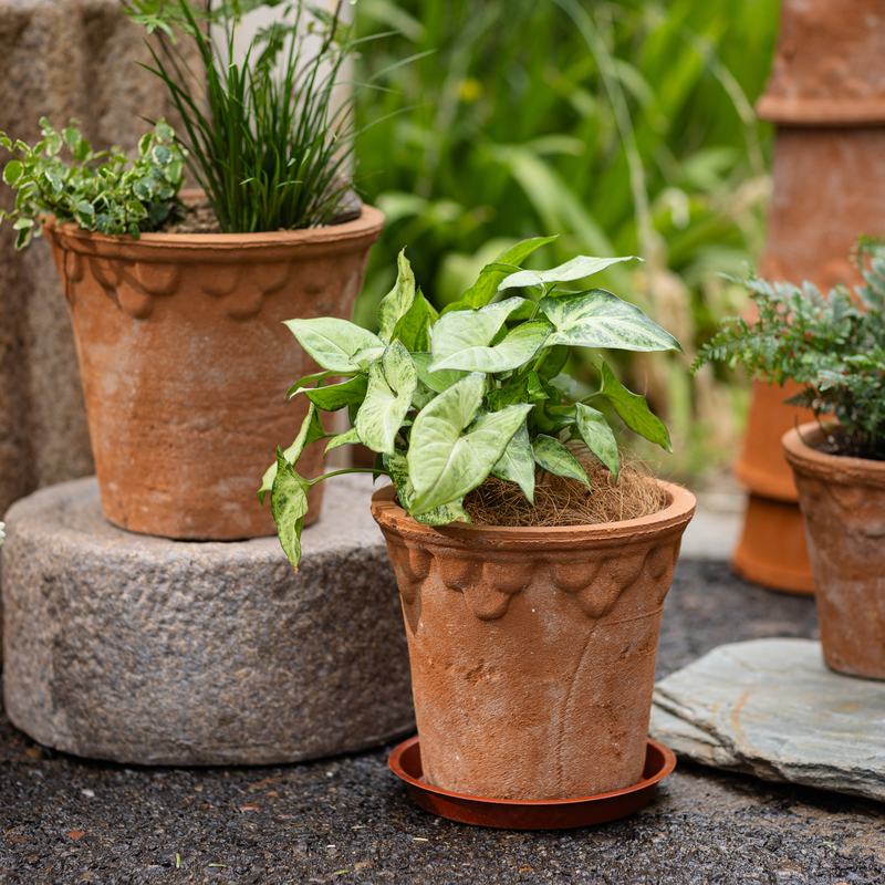 掬涵手工粗陶花盆红陶田园园艺风庭院阳台花园绿植多肉花器装饰 - 图1