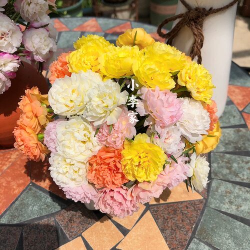 小李家的太阳花重瓣太阳花苗混色多季开花耐热易养（满18包邮) - 图1