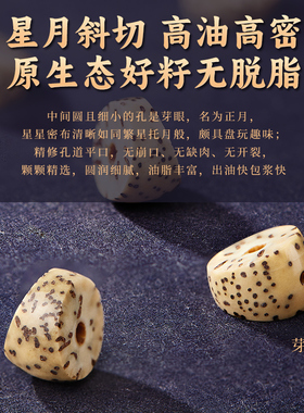 星月菩提猪大肠手串男士女文玩