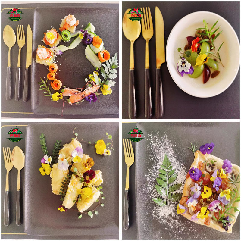 新鲜千叶吊兰长寿藤吊兰叶子西餐厅酒店蛋糕摆盘装饰点缀叶子花草,淘宝优惠券,粉丝福利购,淘宝优惠卷