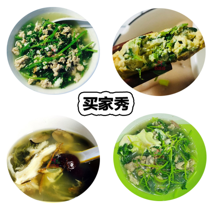 新鲜益母草野菜新鲜坤草菜沙青麻农庄上汤野菜蔬菜 3份顺丰包邮-图3