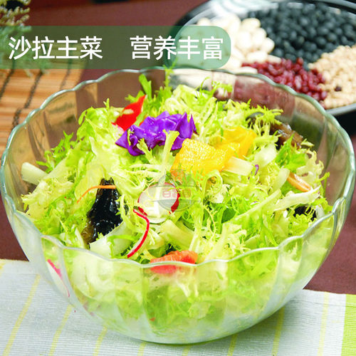 新鲜黄心苦菊嫩细叶苦苣黄狗芽生菜健身轻食清洗即食沙拉西餐食材 - 图3