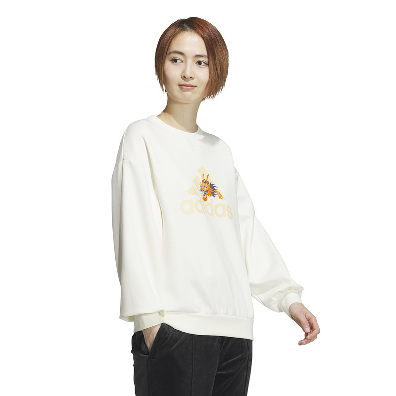  胜道运动卫衣/套头衫