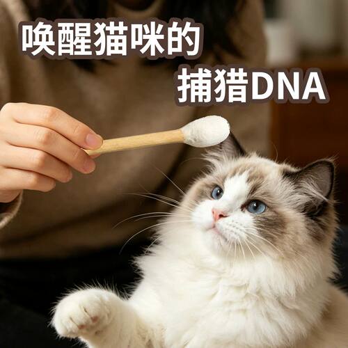 羊毛毡棉签猫咪丰荣玩具猫薄荷猫自嗨解闷磨牙神器耐咬小猫逗猫棒 - 图1