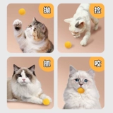 Игрушка, большой прыгучий мяч, избавление от скуки, домашний питомец, кот