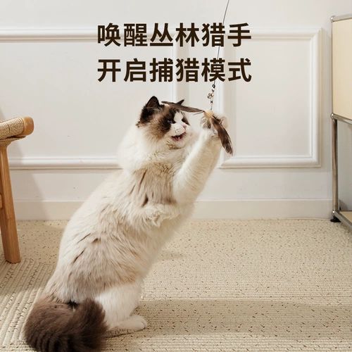 Крутящийся колокольчик, игрушка, котенок, избавление от скуки, кот