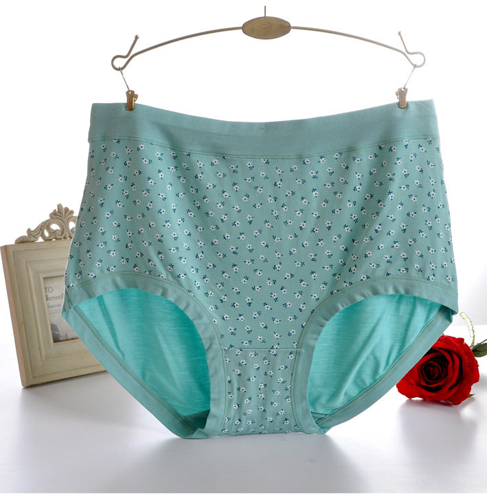 盈康206女士内裤大码胖MM妈妈短裤头莫代尔中腰舒适透气三角裤,淘宝优惠券,粉丝福利购,淘宝优惠卷