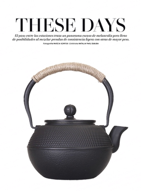 博古架中式风铸铁茶壶软装饰品