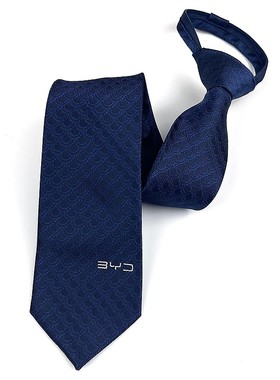 新款比亚迪王朝海洋男女丝巾领带