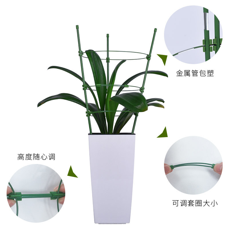 家用铁艺花盆支架月季花架爬藤架铁线莲花盆支撑架植物爬藤架,淘宝优惠券,粉丝福利购,淘宝优惠卷