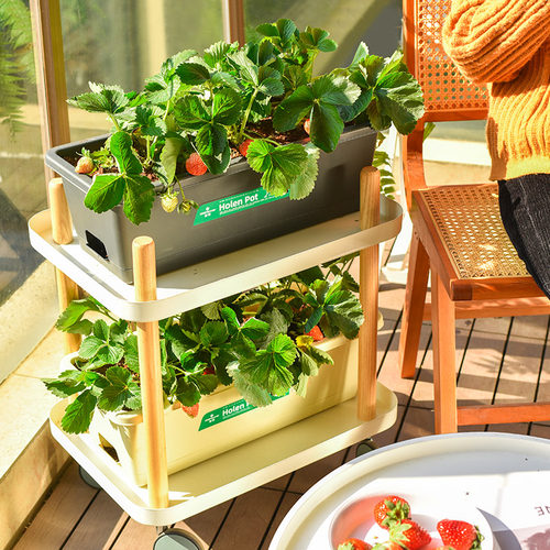 阳台种菜草莓盆栽专用盆塑料花盆家庭阳台蔬菜长方形葱种植箱室内 - 图1