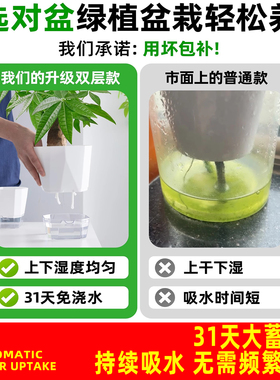控根透气水培懒人自动吸水花盆