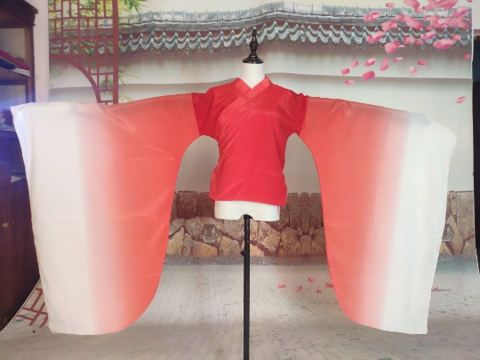 男女博袖广袖大袖练习服汉唐古典舞袖技舞蹈礼仪之邦古装汉服 - 图0