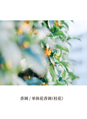 语花香安神助眠无烟小众风蜡烛