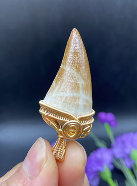 多宝灵石男牙化石吊坠925银礼物