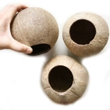 Кокосовая оболочка старая кокосовая оболочка маленькая открытая творческая детская сада