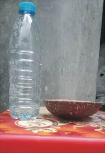 Кокосовая оболочка накрытия DIY Plate Cushion Diseergarten Dance Props Неусобленные кокосовые раковины крышка