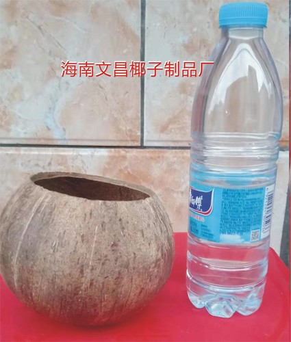 椰子壳老椰壳窝开口9粗面幼儿园学校创意diy灯具工艺品装饰品材料