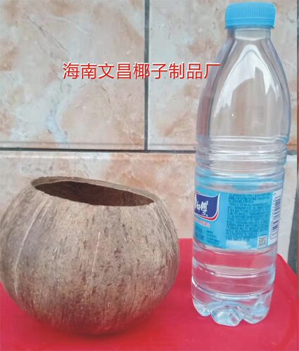 椰子壳老椰壳窝开口9粗面幼儿园学校创意diy灯具工艺品装饰品材料 - 图2