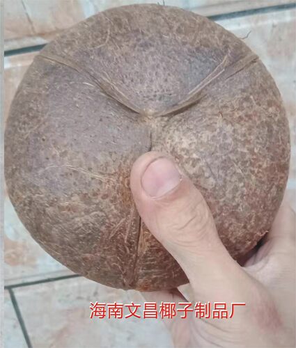 椰子壳老椰壳窝开口9粗面幼儿园学校创意diy灯具工艺品装饰品材料 - 图1