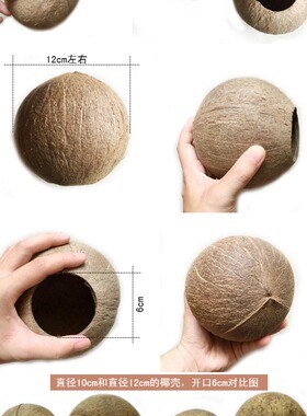 椰子壳老椰壳小开口diy灯具产地