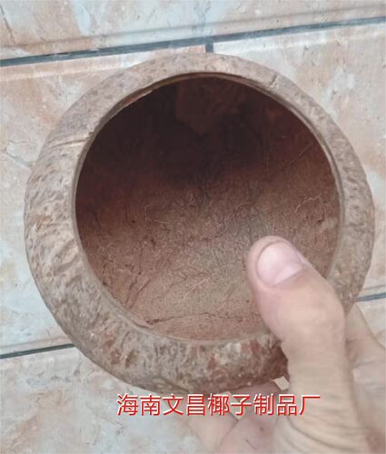 椰子壳老椰壳窝开口9粗面幼儿园学校创意diy灯具工艺品装饰品材料 - 图0