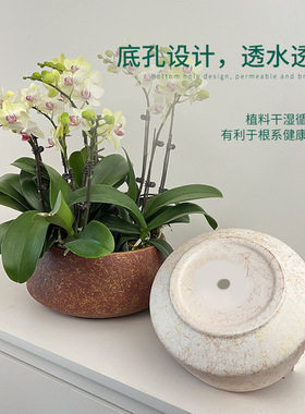 创意花盆带托盘大口径宽口