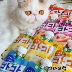Hammer Home Nhật Bản Hell Kitchen Dipping Sauce Cat Snacks Thực phẩm ướt Bùn lỏng Phần thưởng cho mèo Ăn vặt Hương vị mới - Đồ ăn nhẹ cho mèo bánh cho mèo Đồ ăn nhẹ cho mèo
