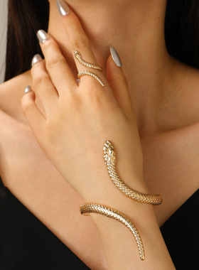 时尚简约设计感蛇型戒指手镯