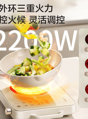 苏泊尔电陶炉家用大火力不挑锅具多功能易清洁面板智能定时电磁炉