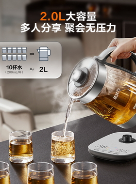 苏泊尔纯钛养生壶炖煮一体
